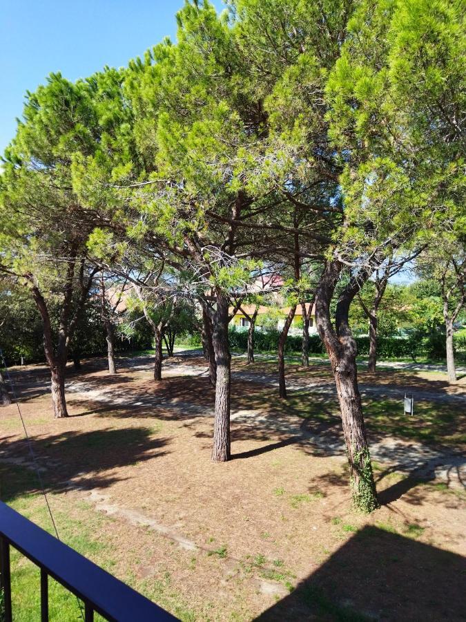 Appartamento Doppi Bagni Sei Posti Letto Viverone Exterior photo